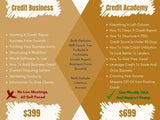 Reignland Credit Repair Business Course